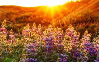 全场都傻了，CBA利物浦赛前爆料，把数据拆到小数点，体彩数据有说法