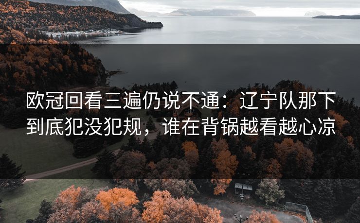 欧冠回看三遍仍说不通:辽宁队那下到底犯没犯规,谁在背锅越看越心凉