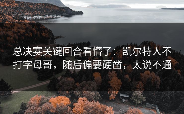 总决赛关键回合看懵了：凯尔特人不打字母哥，随后偏要硬凿，太说不通